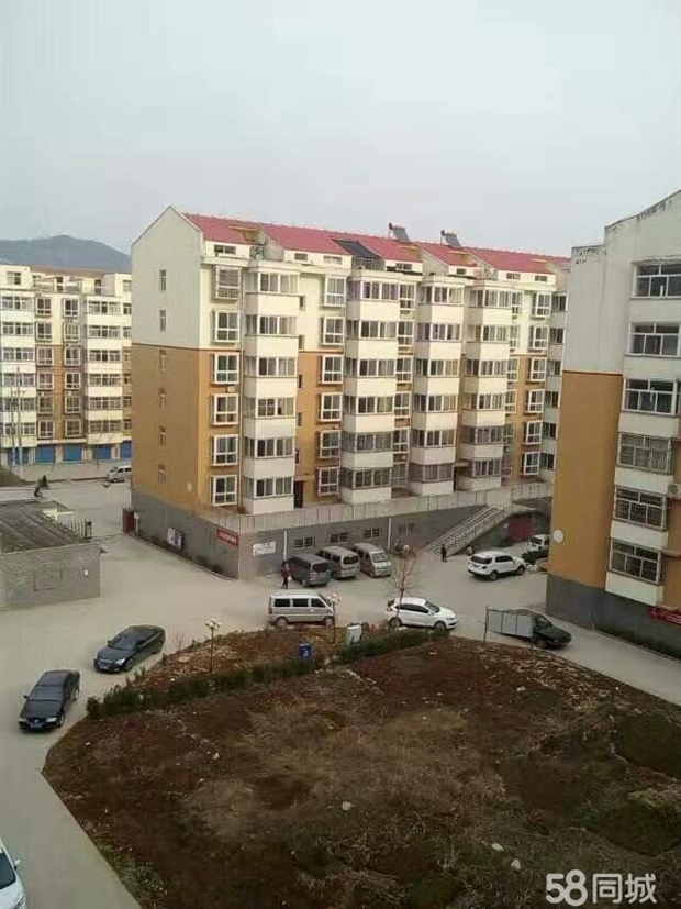 第1231页