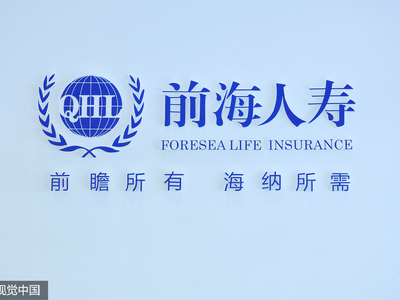 前海人寿是否上市？日常趣事与友情的温馨之旅探讨