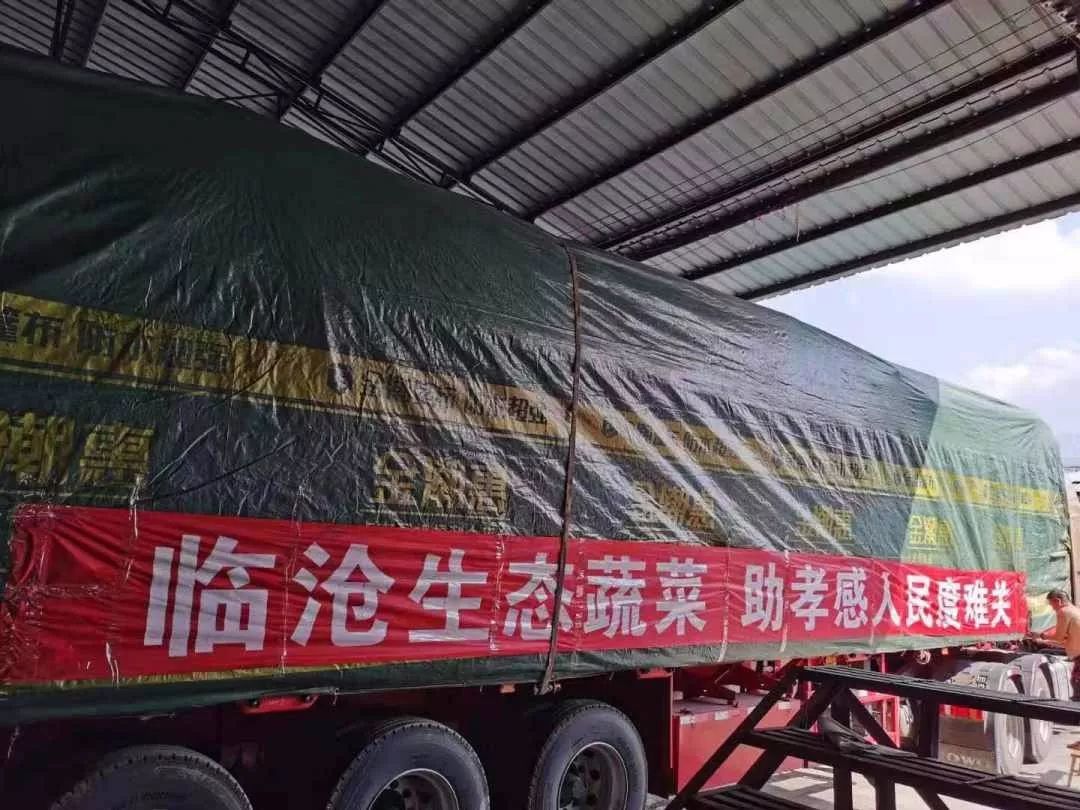 临沧疫情最新动态，变化中的力量与学习带来的自信与成就感