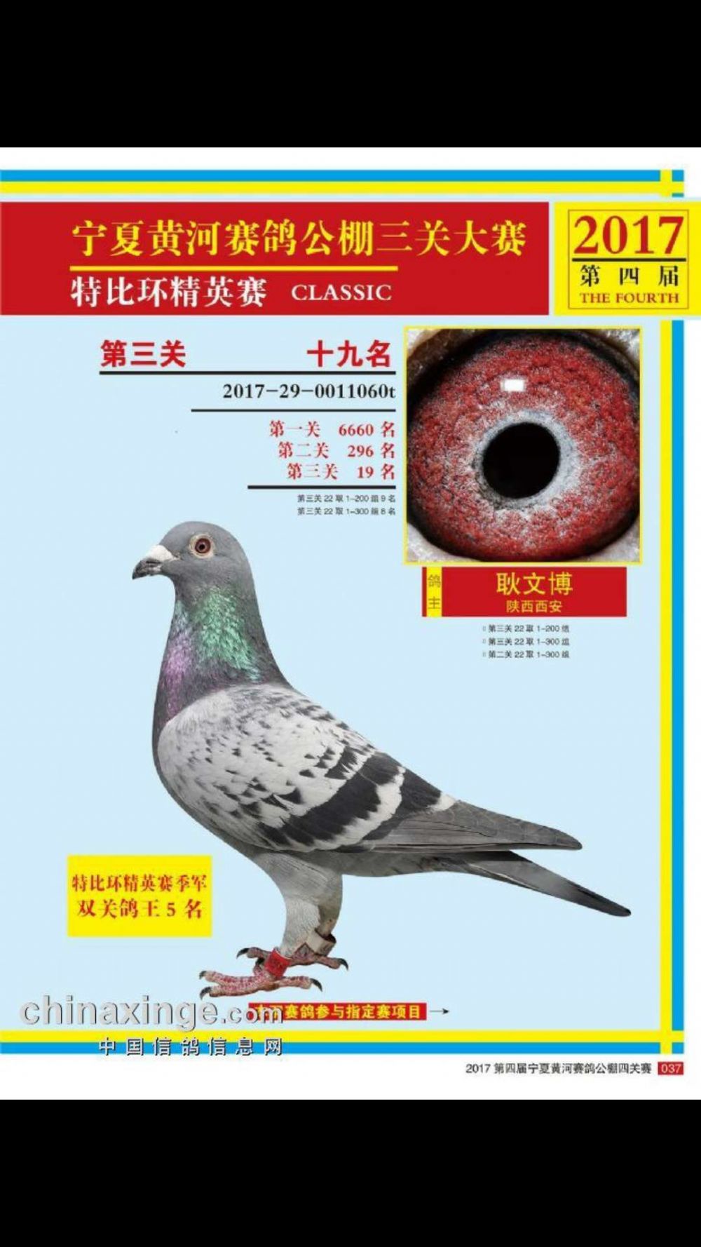 黄河公棚资讯速递，小巷中的独特风味