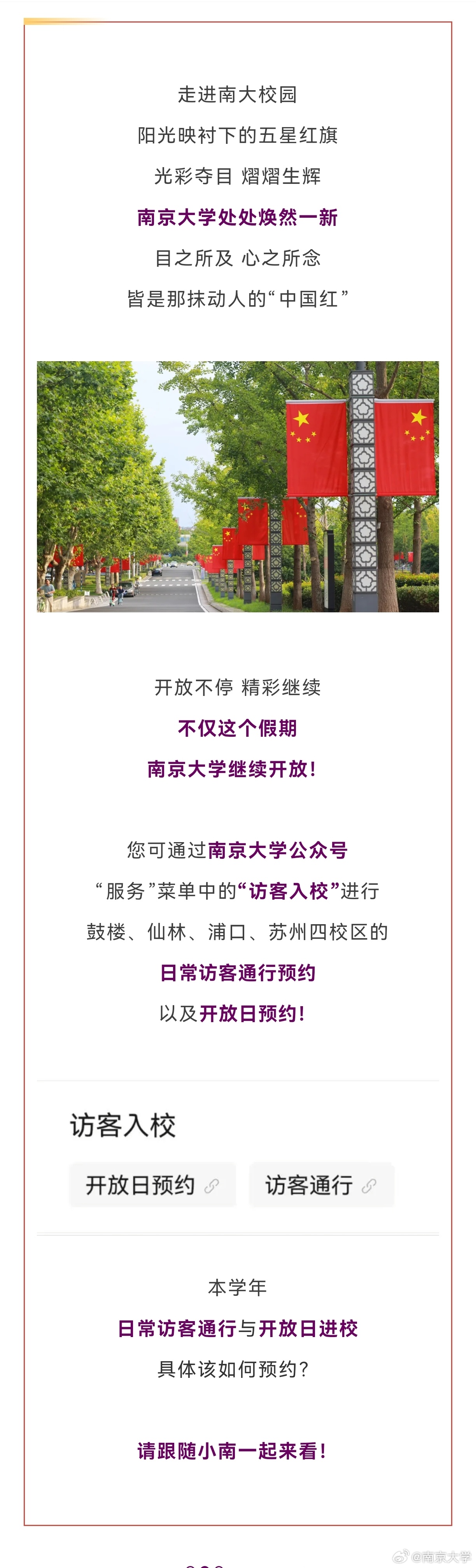 南京大学食堂最新招租启事，探寻味蕾上的温情之旅