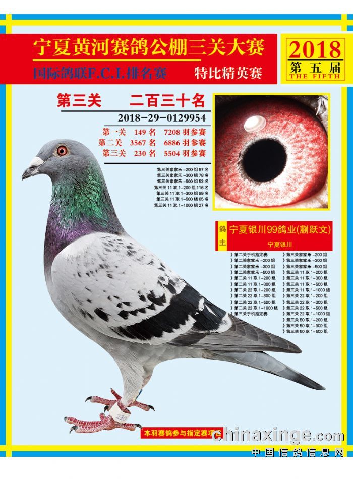 黄河公棚最新资讯动态