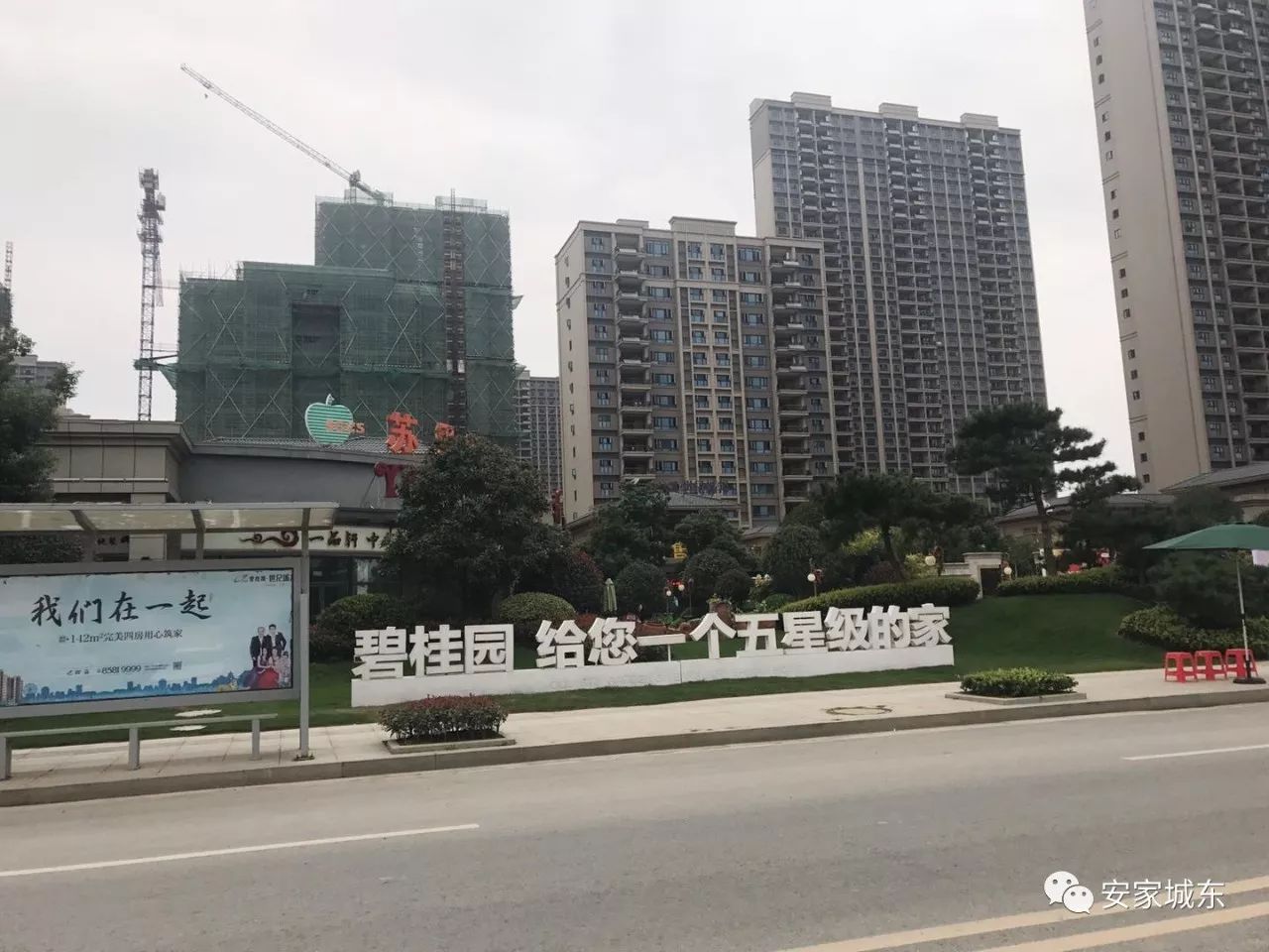 句容房地产市场新动态解析，最新房产资讯一网打尽！