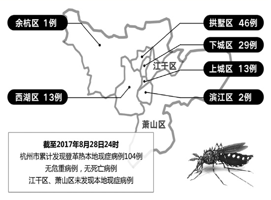 杭州登革热最新动态更新